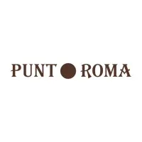 PUNT ROMA FRANCE logo