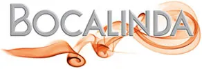 ALLVAPE logo