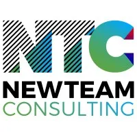 NEWTEAM CONSULTING logo
