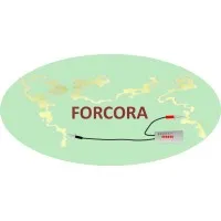 FORMATION CONSEIL RHONE-ALPES (FORCORA) logo
