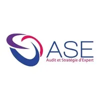 AUDIT ET STRATEGIE D'EXPERT logo