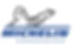 INTER PNEUS logo