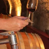LA CAVE DU CHAIGNOT logo