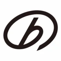 BSB EUROPE logo