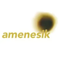 AMENESIK (AMENESIK) logo