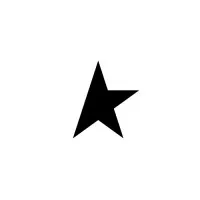 GOLDEN GOOSE FRANCE logo