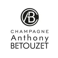 BETOUZET ANTHONY logo