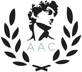 AESTHETIC ROMY D logo