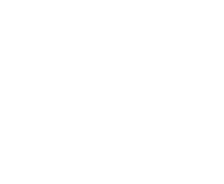 HELLO DOMICILE logo