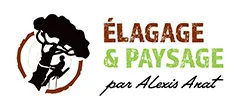ANAT ALEXIS logo