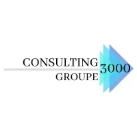 CONSULTING 3000 logo