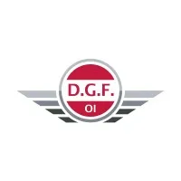 D.G.F - LOGIC logo