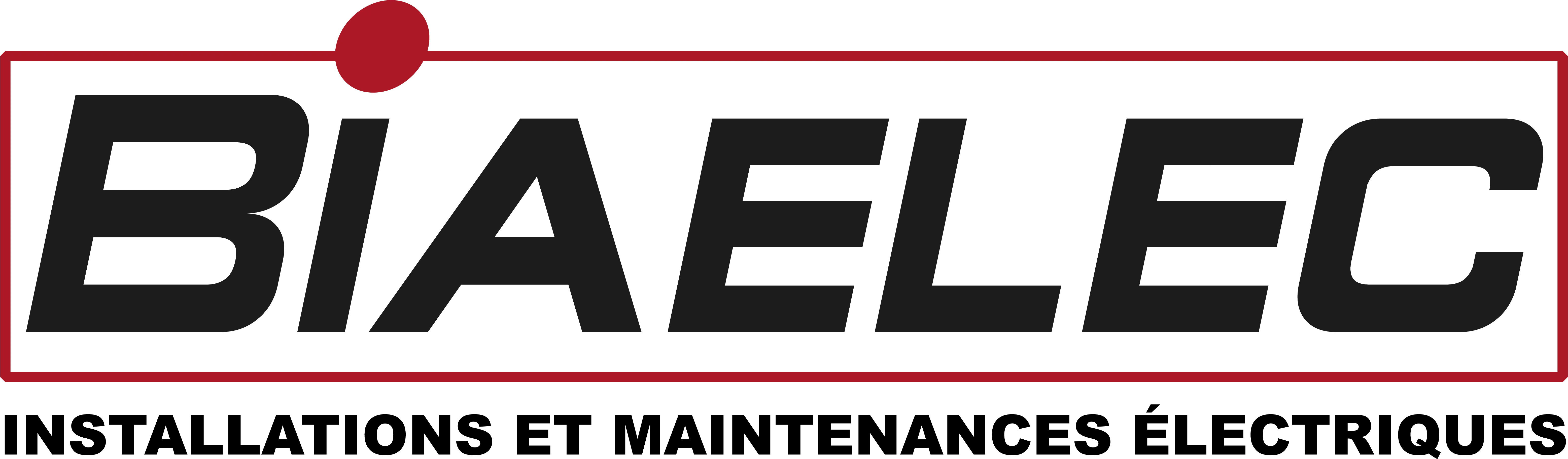 BIAELEC - S.E.B. logo