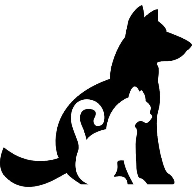 AUDOUSSET JONATHAN logo