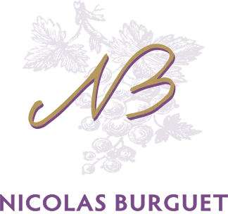 NICOLAS BURGUET logo