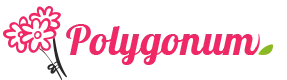 VVO FLEURS logo