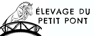 EARL DU PETIT PONT logo