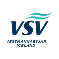 VSV FRANCE logo