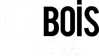 DTR BOIS logo