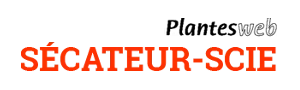 UN JARDIN EN LORRAINE logo