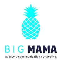 ELM AGENCY logo