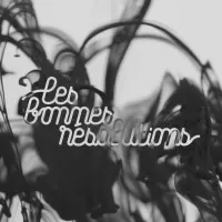 LES BONNES RESOLUTIONS logo