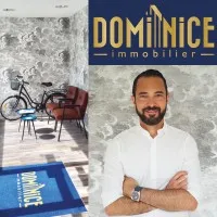 DOMI NICE IMMOBILIER logo