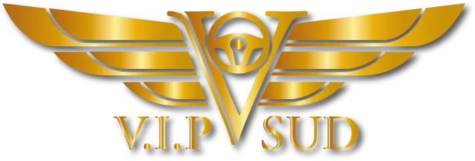 VIP SUD logo