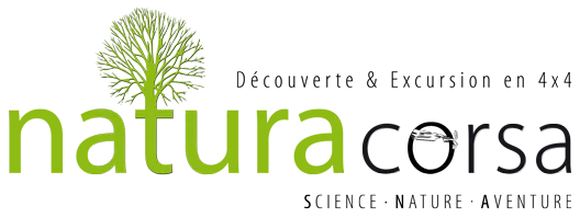 NATURA CORSA logo
