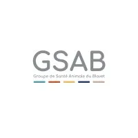 VPF BRETAGNE SUD (GSAB) logo
