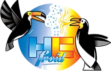 HC FROID logo