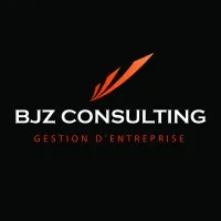 BJZ CONSULTING logo