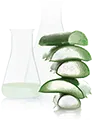 MICHEL SABRINA logo