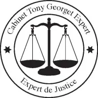 CABINET TONY GEORGET EXPERT logo