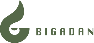 BIGADAN FRANCE logo
