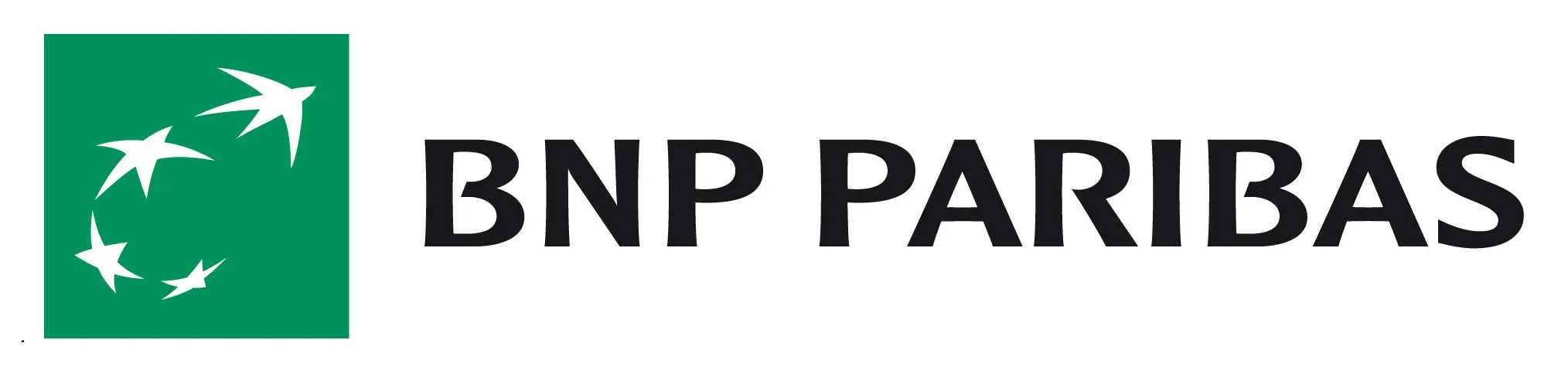 SAPHIR FINANCEMENTS logo
