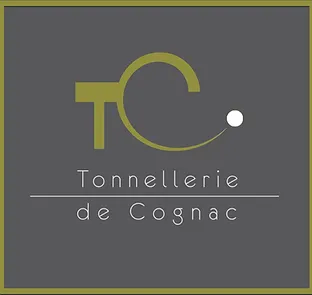 CF CONSULTING logo