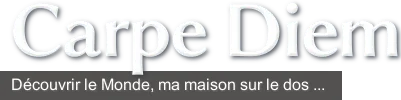 131313 logo