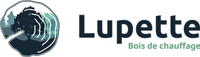 LUPETTE MAXIME logo