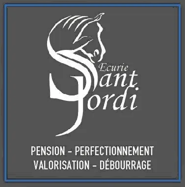 SANT JORDI logo