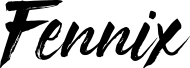 ROLO KAYAK logo