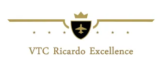 VTC RICARDO EXCELLENCE logo