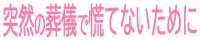 VIKKI logo