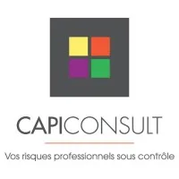 CAPI CONSULT O.I. logo