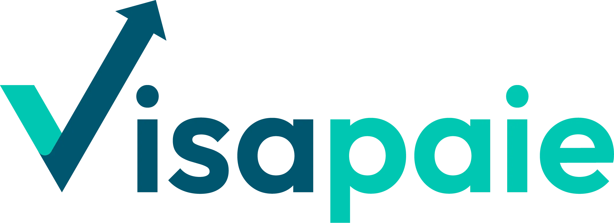 LE VISA CONSEILS logo
