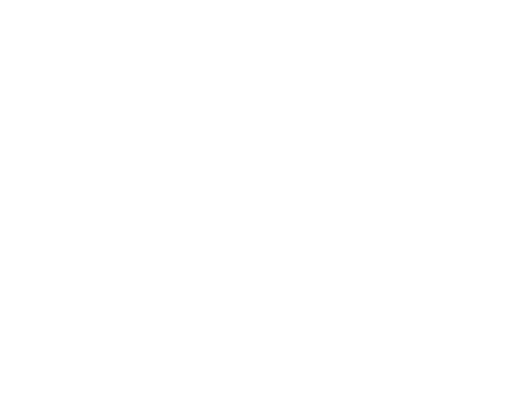 PLF OPTIQUE logo