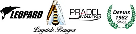 CHAUDRY logo
