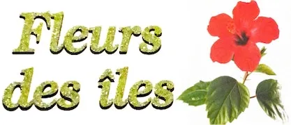 FLEURS DES ILES (F.D.I.) logo