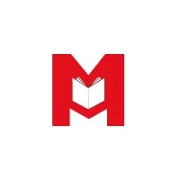MAXI FLASH logo