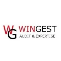 WINGEST AUDIT  EXPERTISE logo